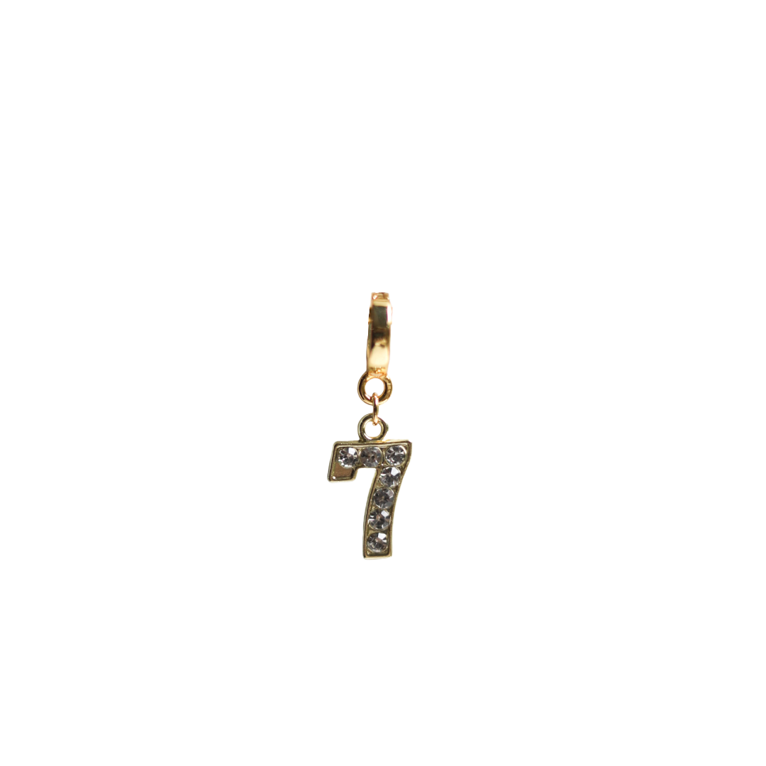 Number Lock Charms