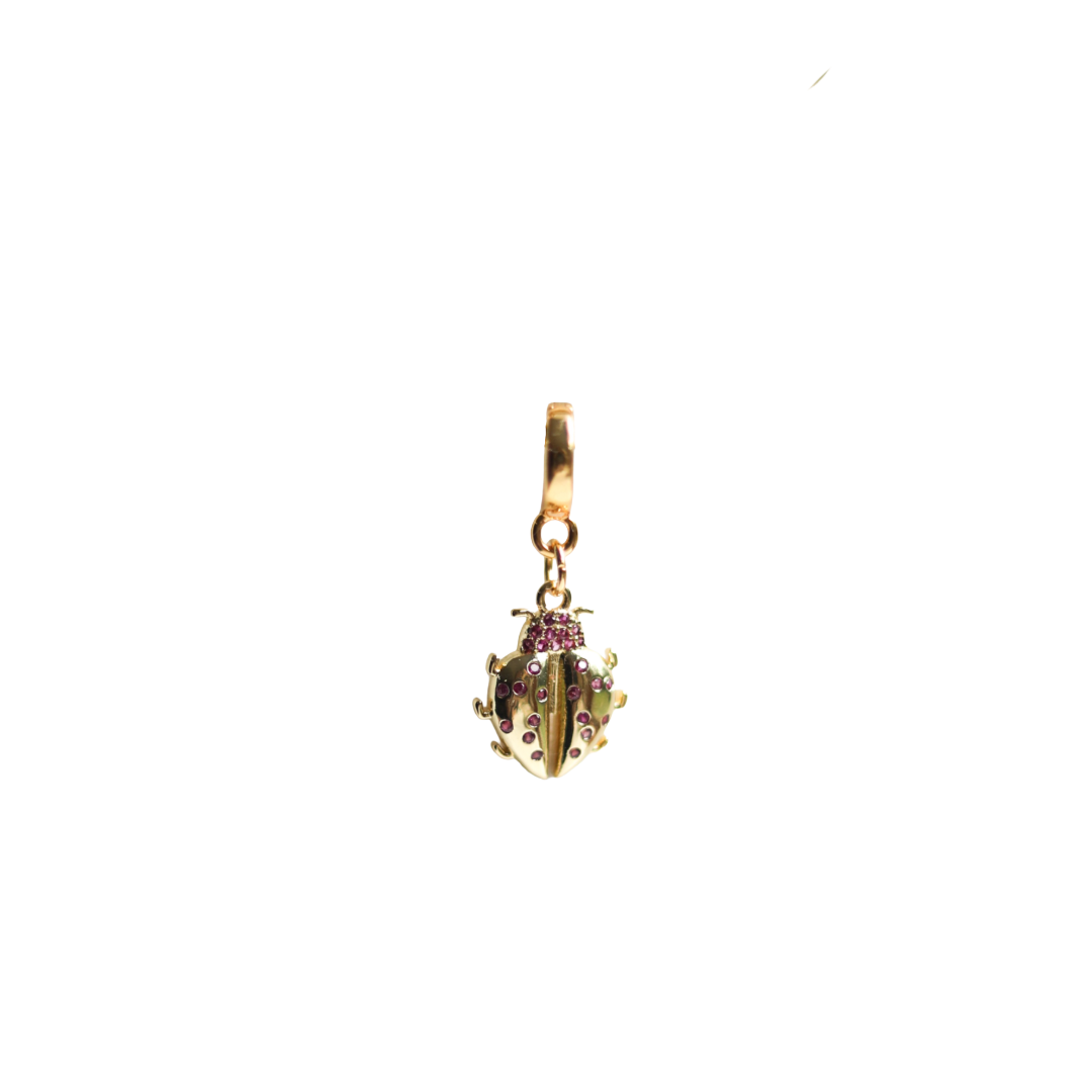 Ladybug Lock Cham
