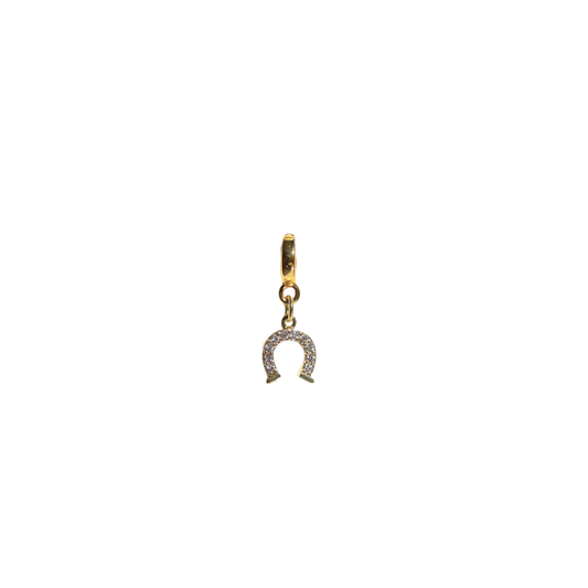 Large Horseshoe Lock Charm