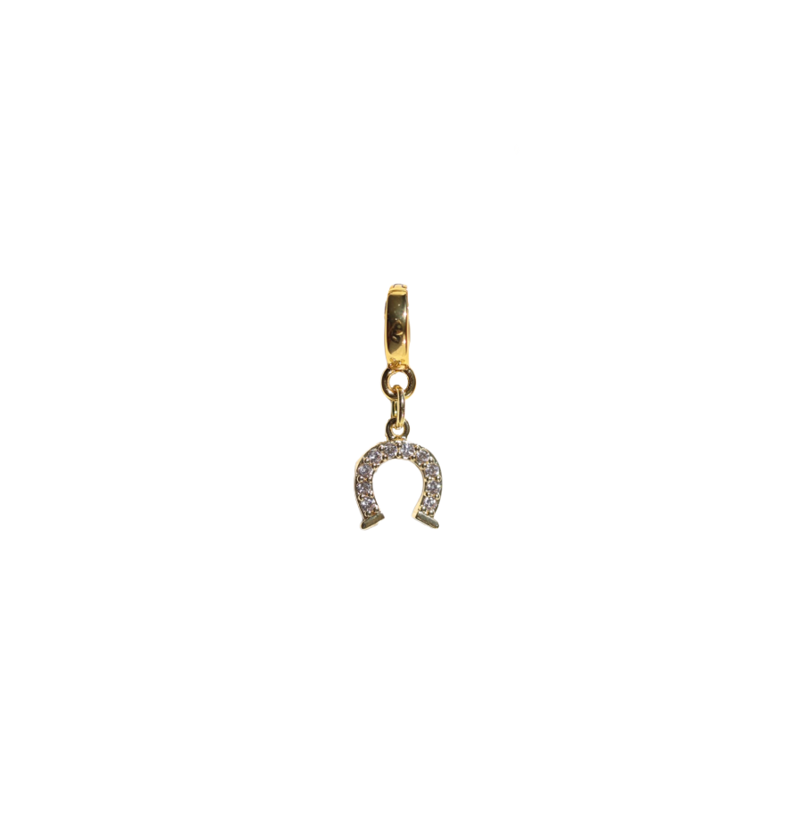 Large Horseshoe Lock Charm
