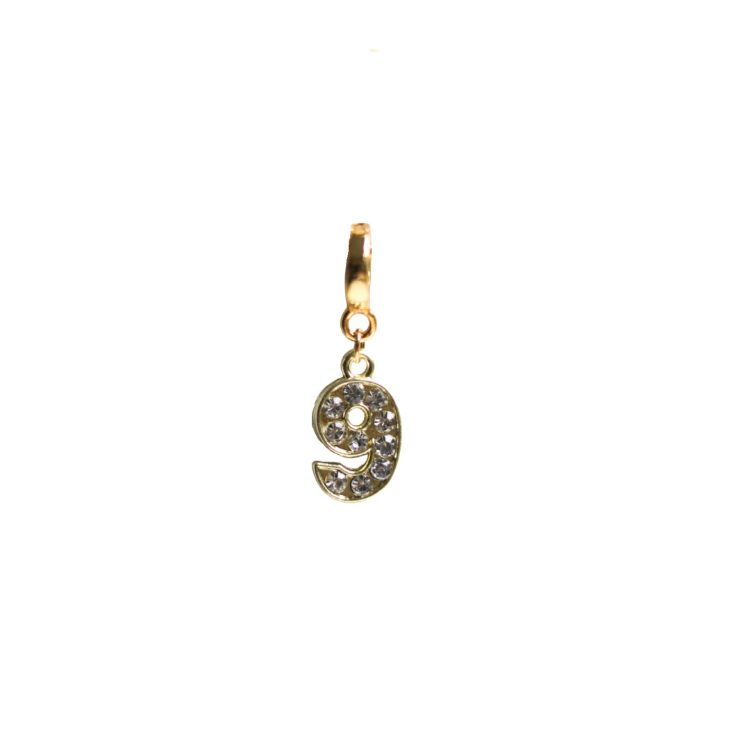 Number Lock Charms