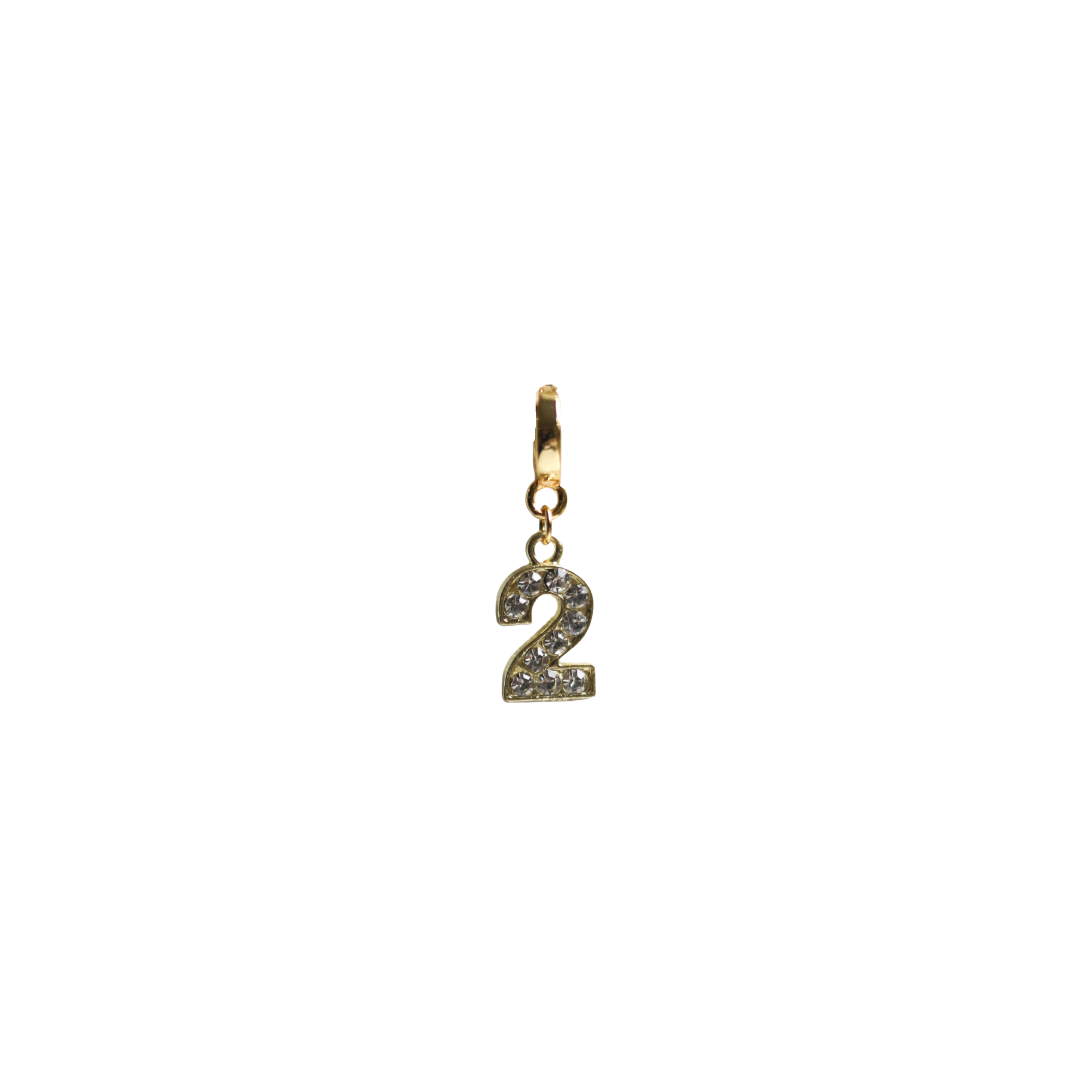 Number Lock Charms