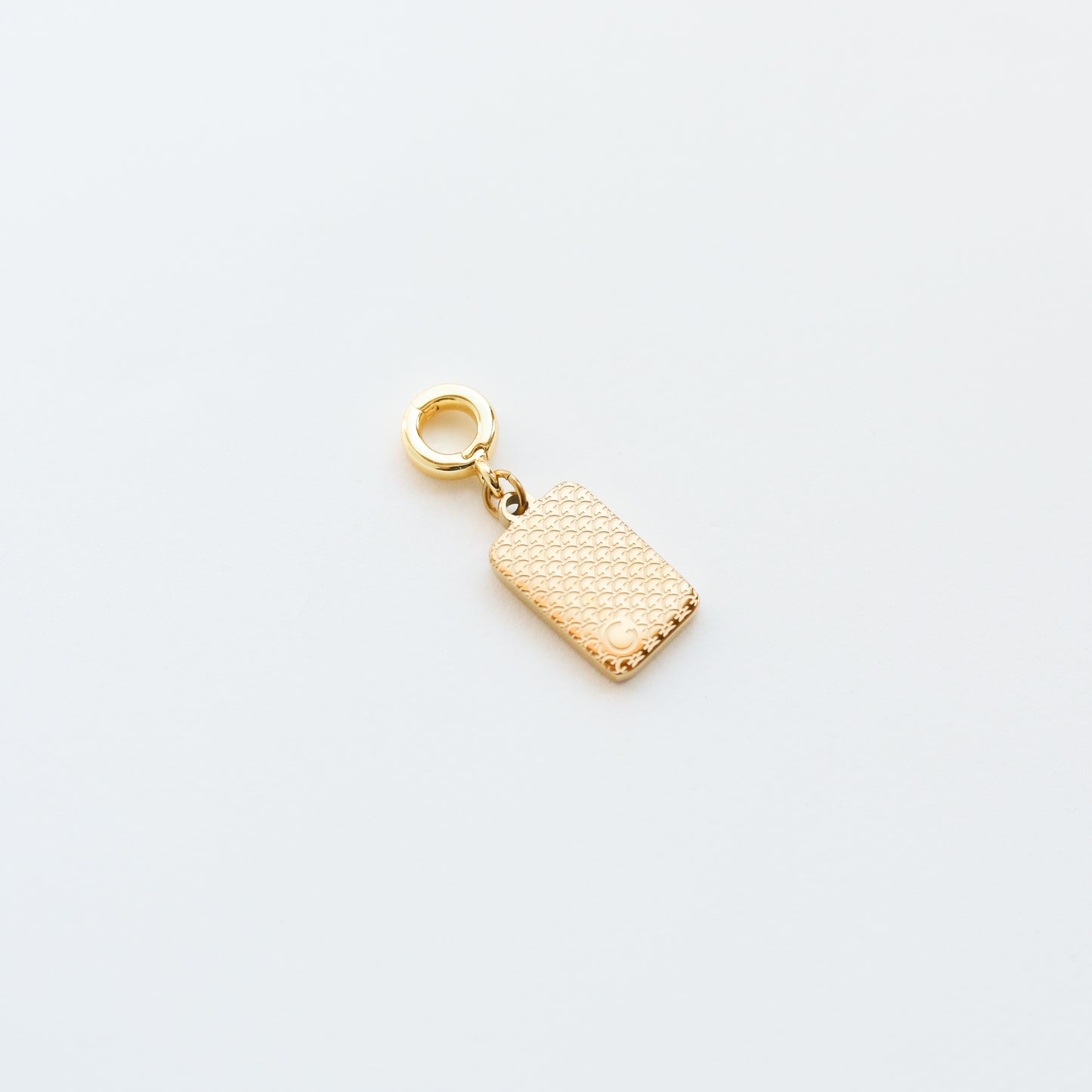 The Dragon Lock Charm