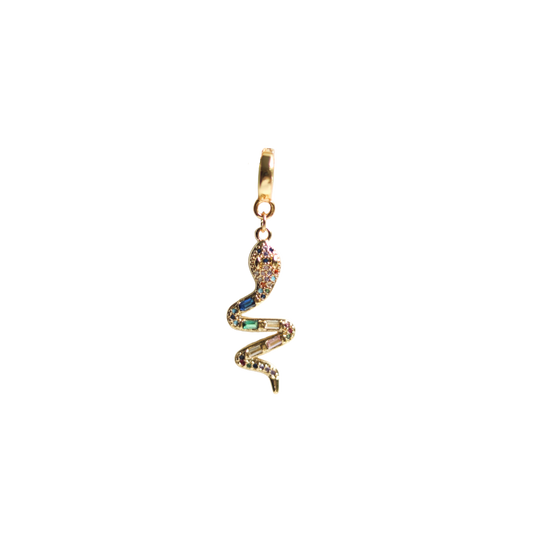 Snake Lock Charm