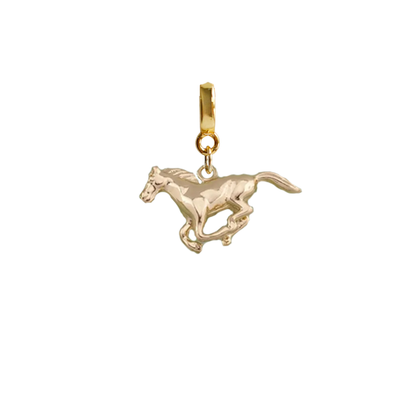 Horse Lock Charm